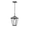 Z-Lite Talbot 1 Light Outdoor Chain Mount Ceiling Fixture, Oil Rubbed Bronze And Seedy 579CHM-ORB - alternate 1